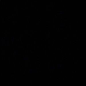 Meet your Posher, Chantelle